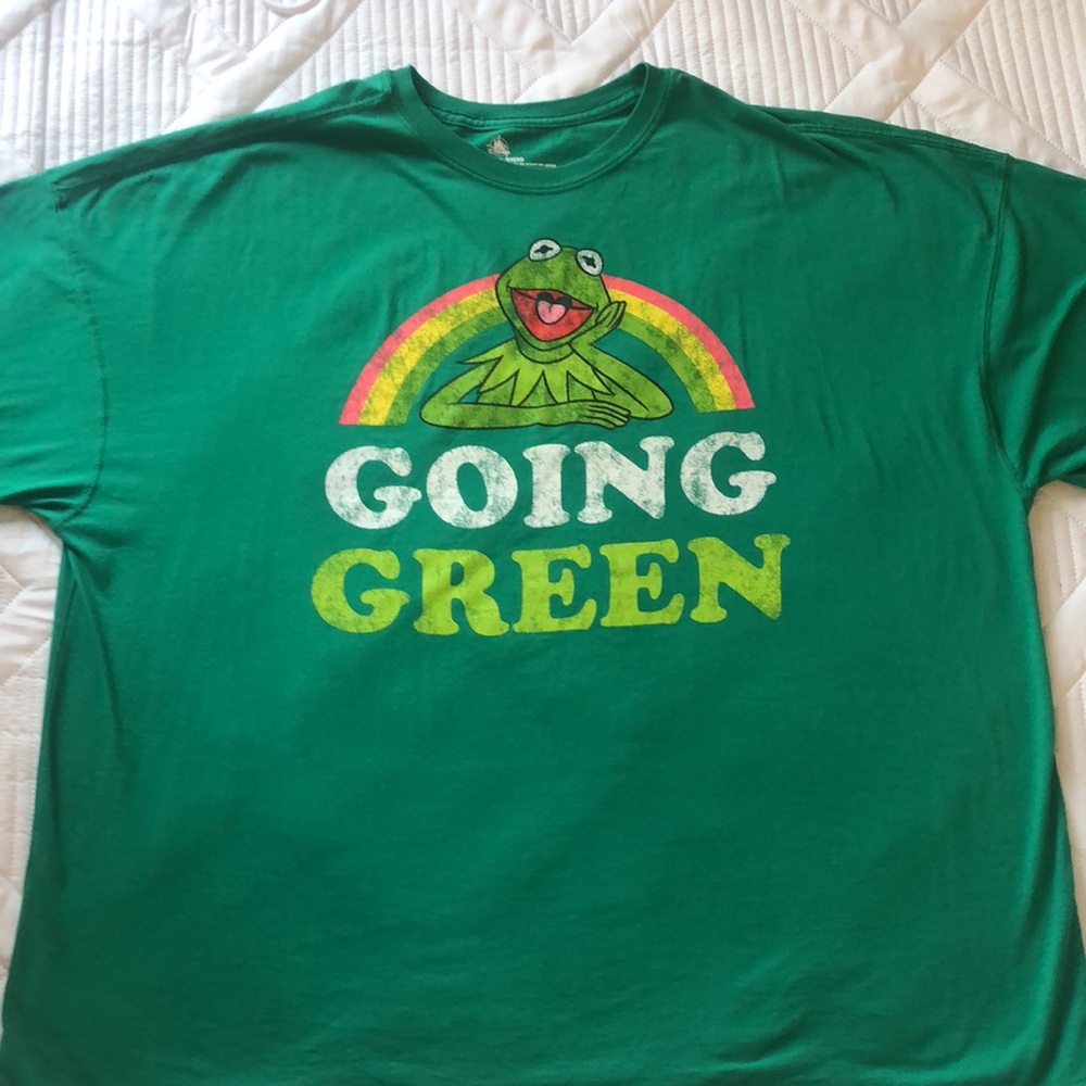Disney Store Going Green T-shirt With Kermit. Size XXL . 50% cotton and 50% poly - Picture 2 of 10